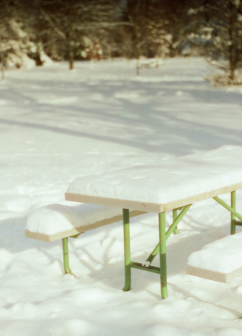 CINESTILL 400D (08/25)