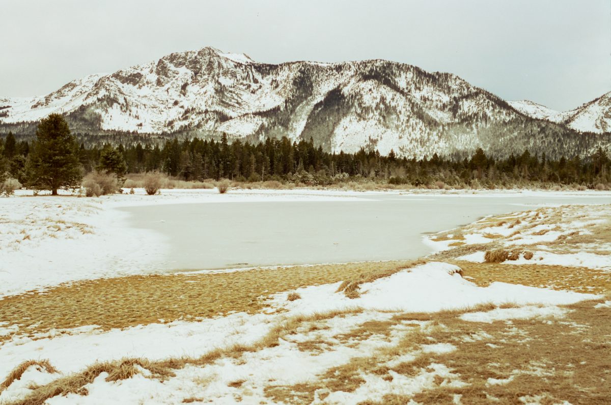 CINESTILL 50D