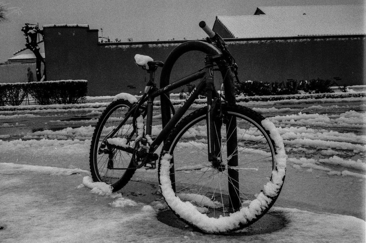 Bergger Pancro 400