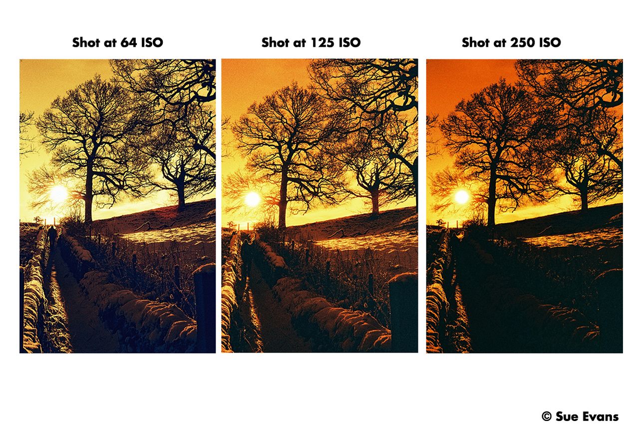 HARMAN Red Redscale 125