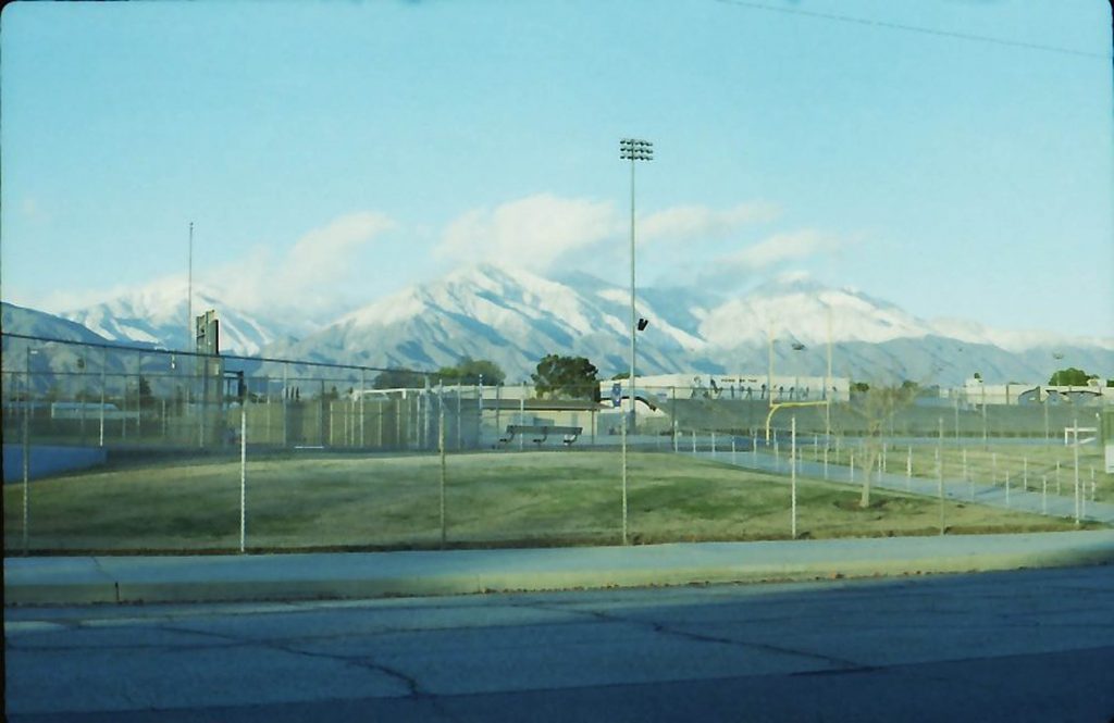 LOMOGRAPHY 100 (1 ROLL)