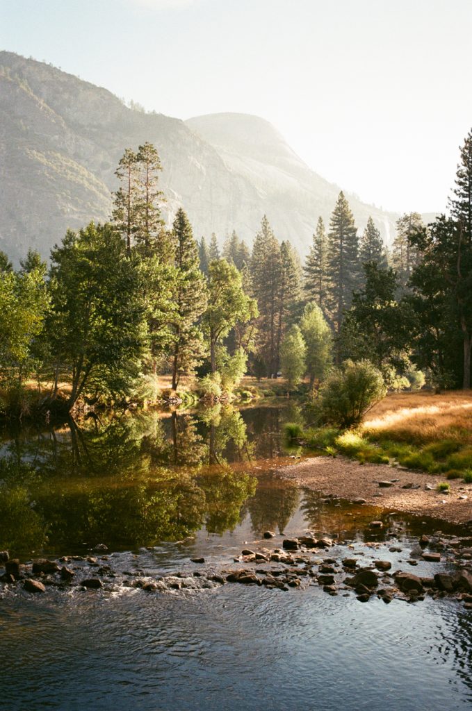 LOMOGRAPHY 400 (1 ROLL)