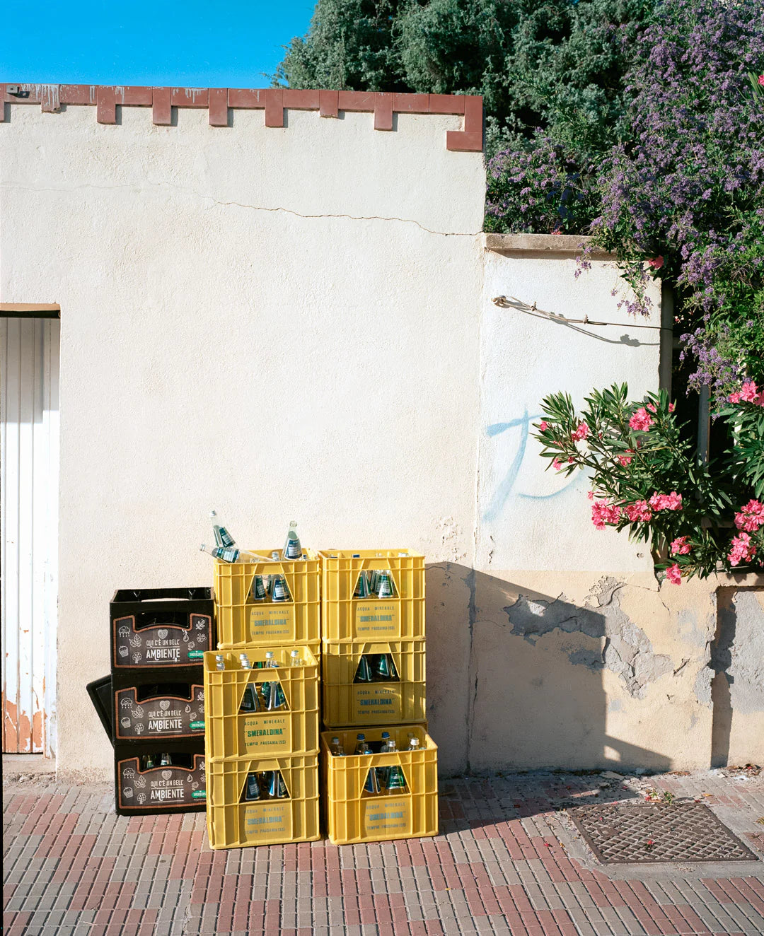KODAK EKTAR 100