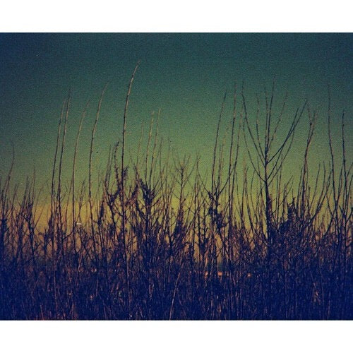 Lomography Lobster Redscale