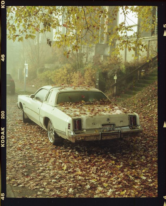 Kodak Gold 200 (1 ROLL)