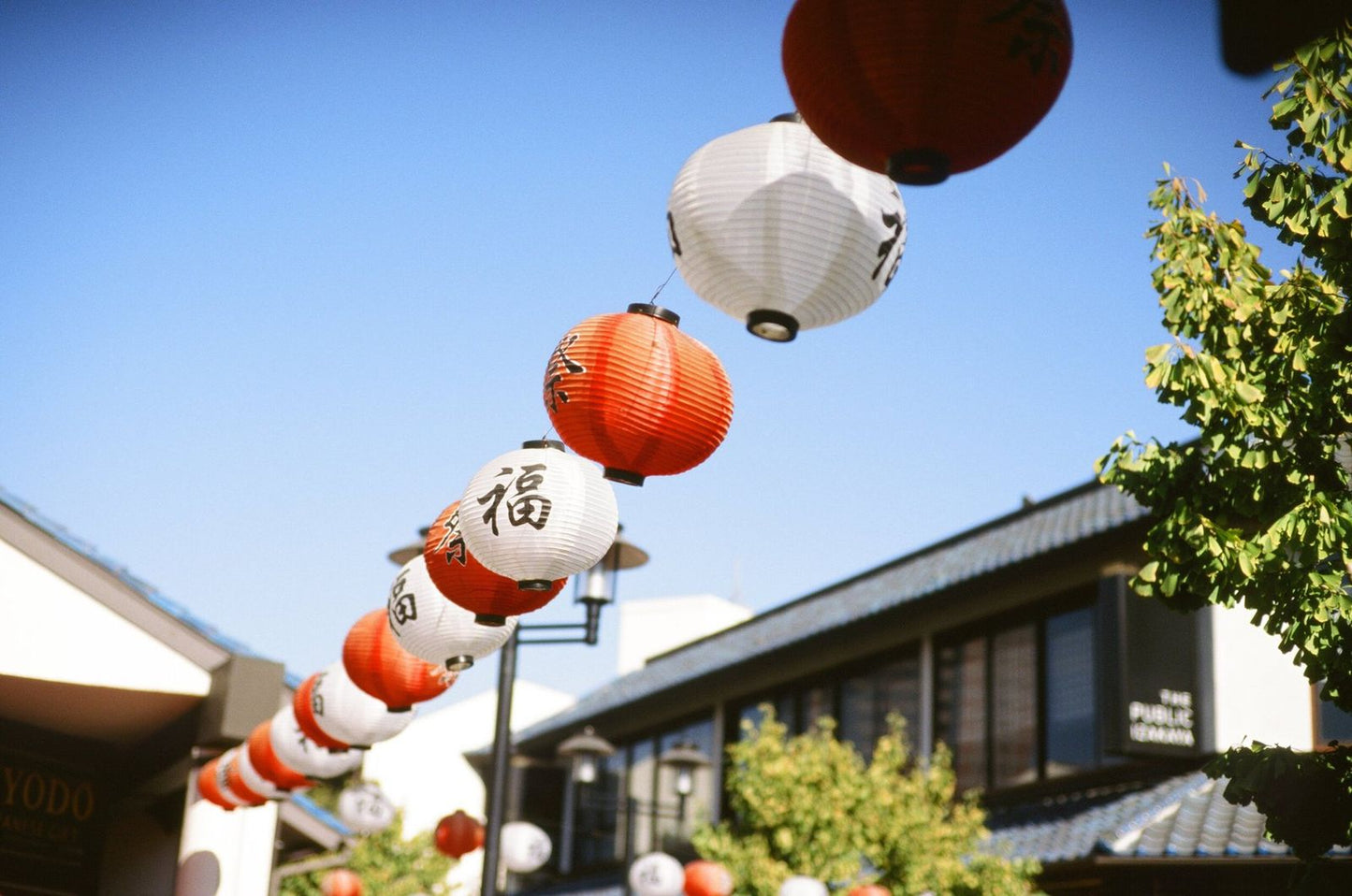 Ektachrome E100 Color Transparency Film