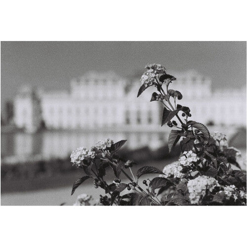 Lomography Berlin Kino 400