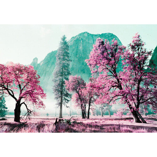 Lomography 2021 LomoChrome Purple Petillant