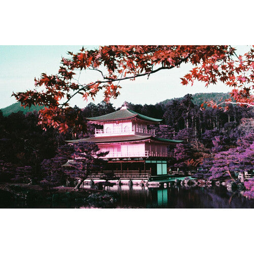 Lomography 2021 LomoChrome Purple Petillant