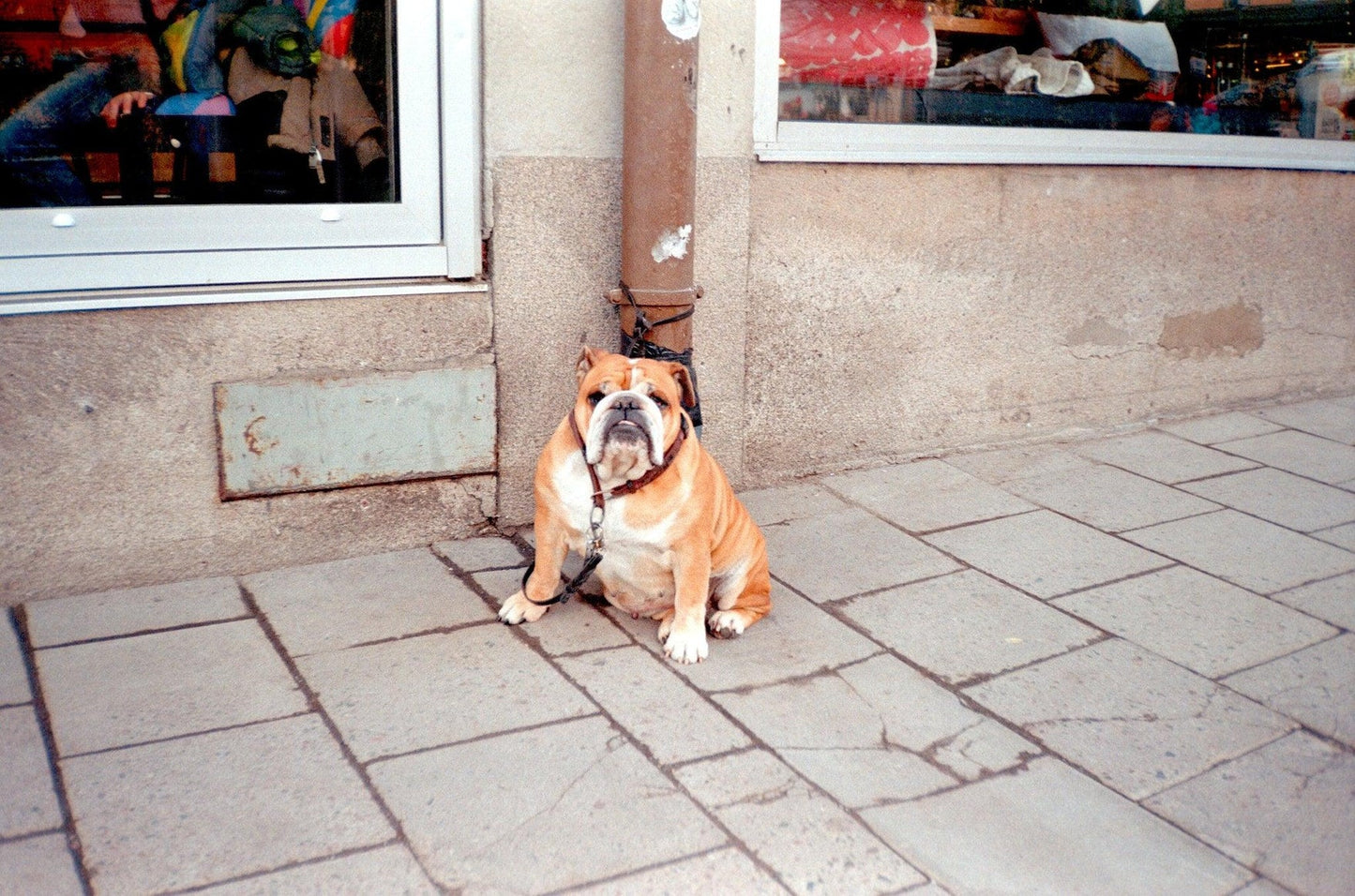 MINOLTA AF-SP