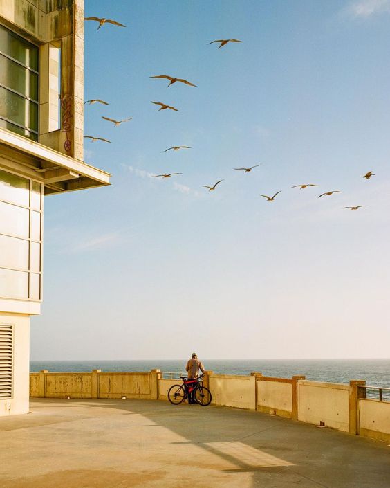 Kodak Ektacolor Pro 800 (1 ROLL)